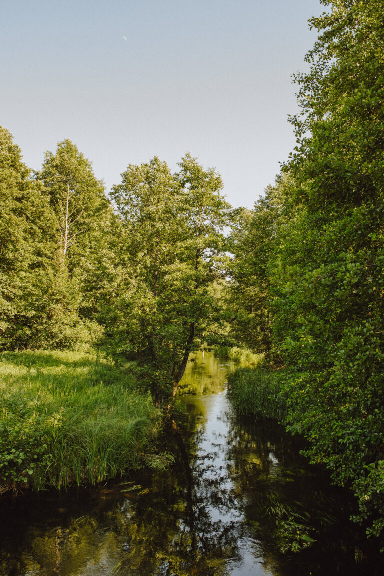 napatryckiejgorce-43